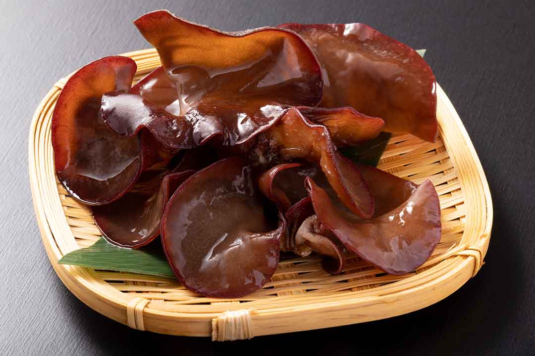 生きくらげ（イメージ）